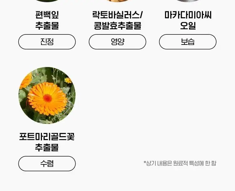 [속보습/100시간] 아이소이 모이스춰닥터 장수진 수분앰플 40ml 상세페이지 21